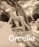 Ornella gallery from GALLERY-CARRE by Didier Carre