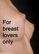 For Breast Lovers Only 2