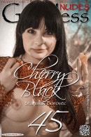 Cherry Black in Set 1 gallery from GODDESSNUDES by Stanislav Borovec