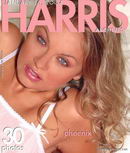 Phoenix in Pink Panties gallery from HARRIS-ARCHIVES by Ron Harris