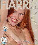 Tiffany in Shaving gallery from HARRIS-ARCHIVES by Ron Harris