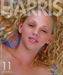 Ivey in On Rug gallery from HARRIS-ARCHIVES by Ron Harris