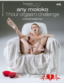 Any Moloko 1 Hour Orgasm Challenge
