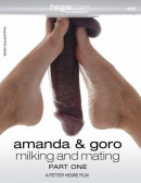 Amanda And Goro Milking And Mating, Part 1 video from HEGRE-ART VIDEO by Petter Hegre