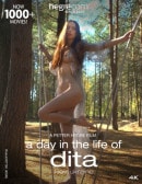 A Day In The Life Of Dita, Kyiv, Ukraine