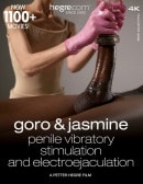 Goro And Jasmine Penile Vibratory Stimulation And Electroejaculation