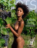 Joyce in Grape Harvest gallery from HEGRE-ART by Petter Hegre
