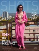 Pink Panther In Hollywood
