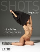 Nicolette in Homey Nudes gallery from HEGRE-ART by Petter Hegre