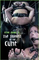 Brina James in THE TAMING OF THE CUNT gallery from INFERNALRESTRAINTS