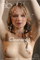 Cleansing 1