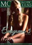 Evergreen 5