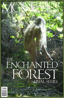 The Enchanted Forest 02