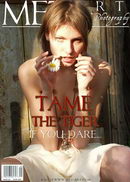 Tame The Tiger 01