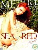 Sea Of Red 02