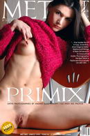 Primix