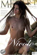 Nicole D in Presenting Nicole gallery from METART by Rigin