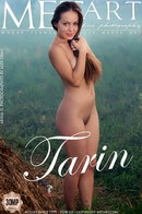 Tarin