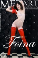 Foina