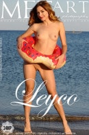 Leyco