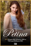 Petina