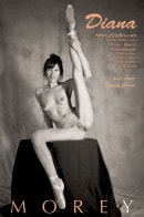 Diana Dancer gallery from MOREYSTUDIOS2 by Craig Morey