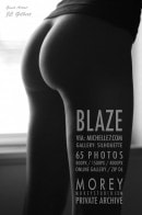 Blaze Silhouette gallery from MOREYSTUDIOS2 by Craig Morey