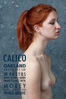 Calico C02N gallery from MOREYSTUDIOS2 by Craig Morey