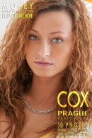Cox P1A
