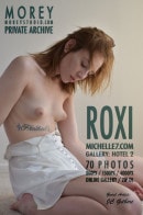 Roxi H2 gallery from MOREYSTUDIOS2 by Craig Morey