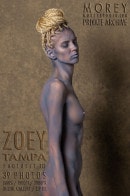 Zoey T13 gallery from MOREYSTUDIOS2 by Craig Morey