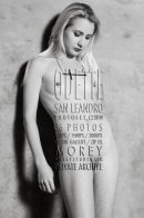 Odette C23BW gallery from MOREYSTUDIOS2 by Craig Morey