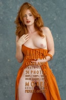 Amber C4C