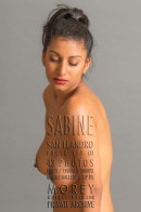 Sabine C11