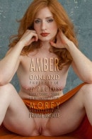 Amber C4F gallery from MOREYSTUDIOS2 by Craig Morey