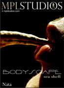 Bodyscape: Seashell