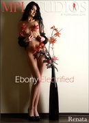 Ebony Electrified