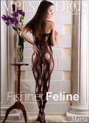 Fishnet Feline