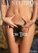 Low Tide