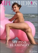 Kaitlin in My Pink Flamingo gallery from MPLSTUDIOS by Anri