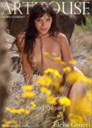 Elena Generi in Naked Desert gallery from MPLSTUDIOS by Thierry