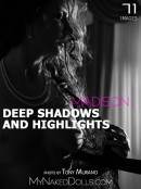 Deep Shadows And Highlights