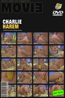 Charlie in Harem video from MYGLAMOURSITE by Tom Veller