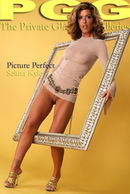 Selina Kyle in Picture Perfect gallery from MYPRIVATEGLAMOUR