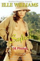 Elle Williams in Safari Set2 gallery from MYSTIQUE-MAG by Mark Daughn