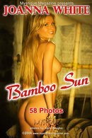 Bamboo Sun