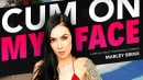 Pornstar Marley Brinx Fucking In The With Her Tattoos Vr Porn