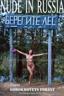 Oxana in Gorokhovets Forest gallery from NUDE-IN-RUSSIA