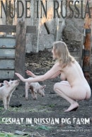 Seshat in Russian Pig Farm gallery from NUDE-IN-RUSSIA