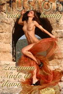 Zuzanna in Nude at dawn gallery from NUDEILLUSION by Laurie Jeffery